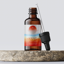 Load image into Gallery viewer, Yang: A Focus CBD Tincture